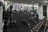 Iconoclast Fitness