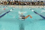 NYC Parks & Rec - Flushing Meadows Corona Park Aquatics Center & Ice Rink