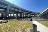 NYC Parks & Rec - Fort Hamilton Senior