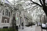 NYC Parks & Rec - Hamilton Fish