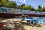 NYC Parks & Rec - Tony Dapolito