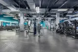 PureGym - Bushwick