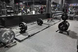 Rare Breed Fitness Club